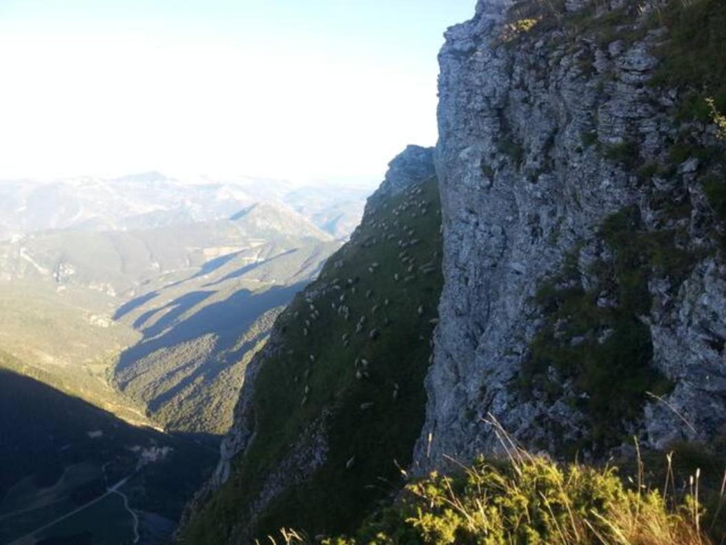 Gites Du Puyjovent - Cote Foret - A 15 Minutes De Crest, Vue Panoramique, Calme Piégros-la-Clastre 外观 照片