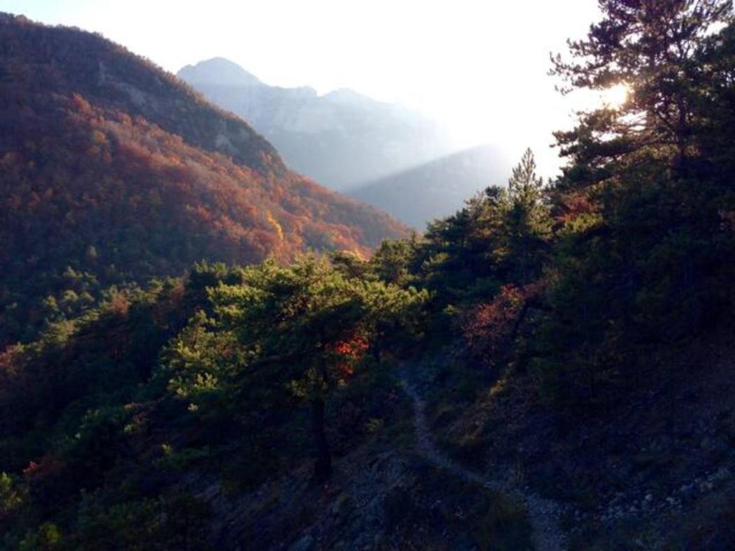 Gites Du Puyjovent - Cote Foret - A 15 Minutes De Crest, Vue Panoramique, Calme Piégros-la-Clastre 外观 照片